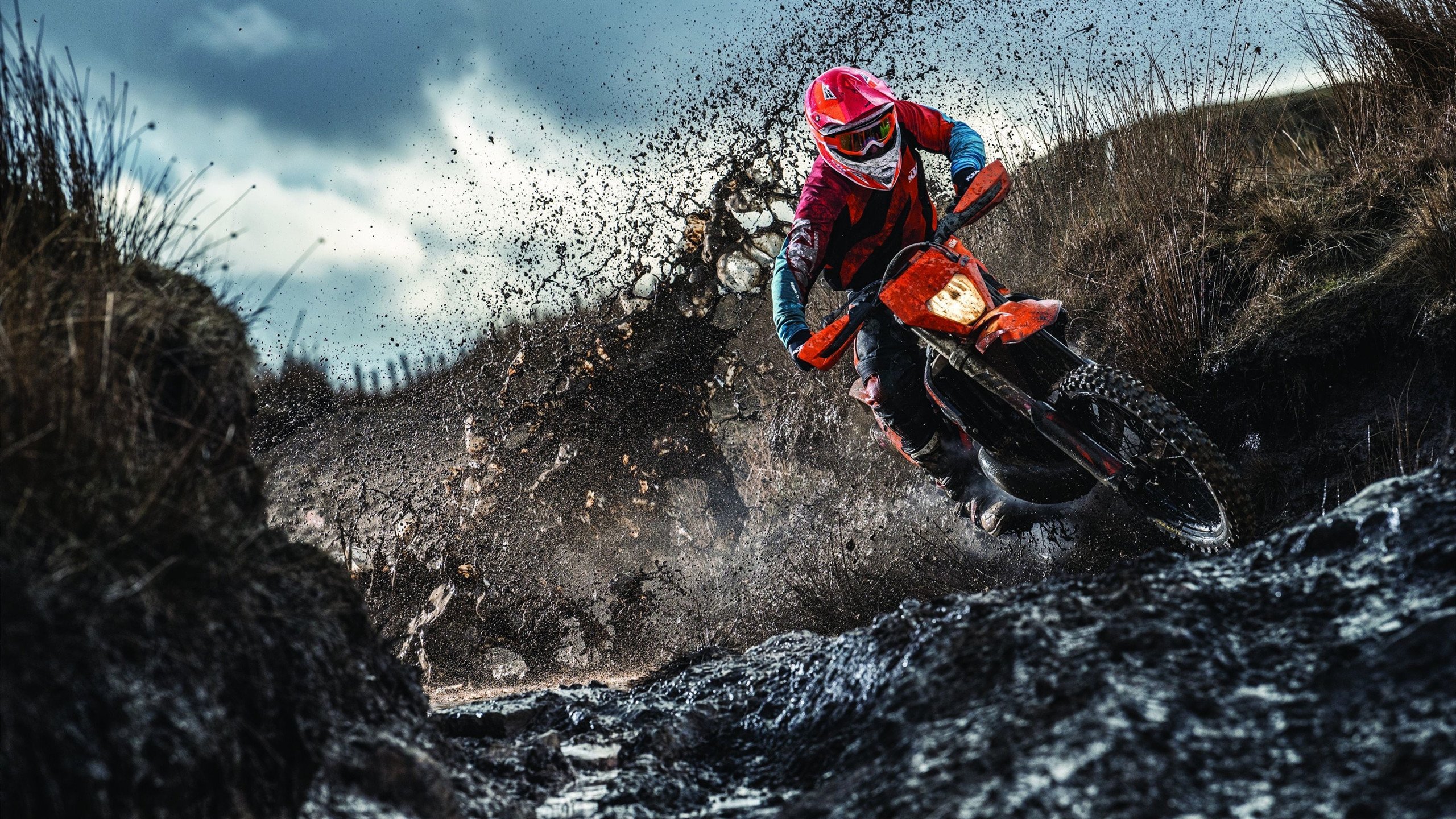 14位世界冠军棋聚宝安!2024第四届“湾区杯”中国围棋大棋士赛预选赛正式开赛